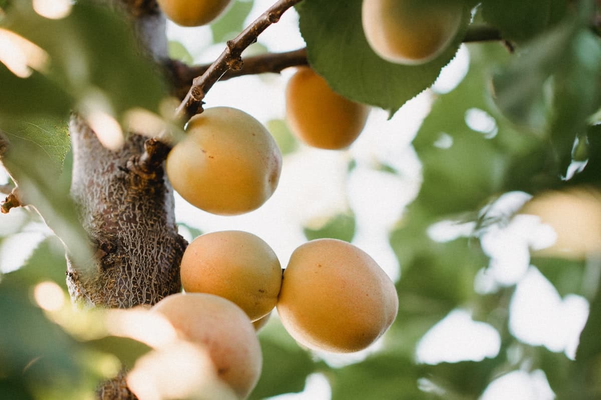 Professional using wireless earbuds during commute
